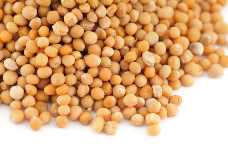 Mustard, Yellow- Whole(Various Pack Sizes) / Herbs and Spices