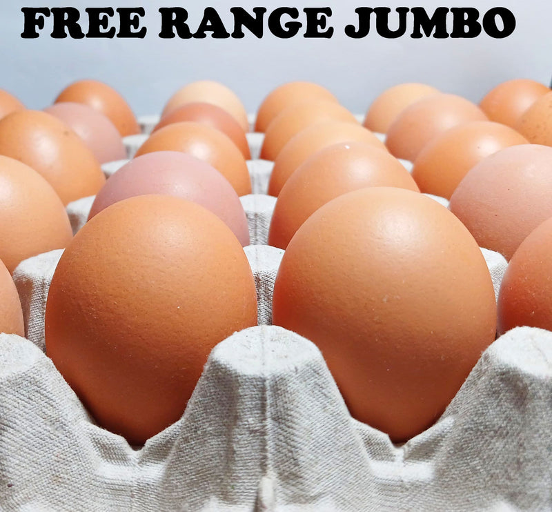 MissMossies Free-Range Jumbo Eggs