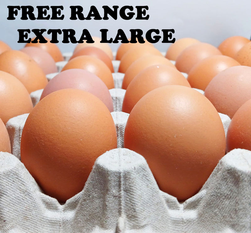 MissMossies Free-Range Extra Large Eggs