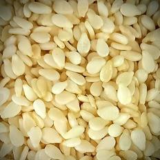 Sesame Seeds (Polished Thill) / Nuts and Seeds