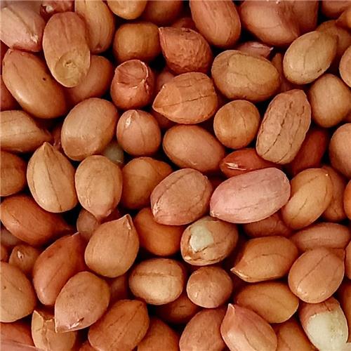 Raw Peanuts (Various Sizes)